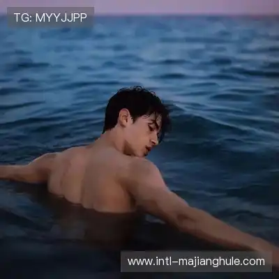 皮宏梦